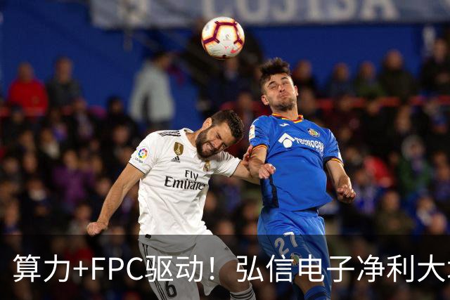 算力+FPC驱动！弘信电子净利大增139%，股价较年内高点回撤超40%